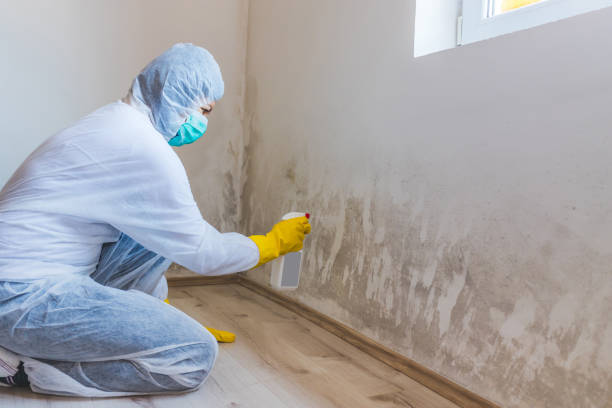 Mold inspector in Greensboro performing thermal imaging